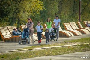 За последний год в Татарстане стало на 9 000 больше многодетных семей